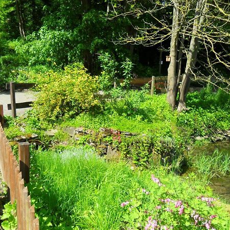 Hoellenmuehle Bed & Breakfast At The Mill Pond Hessisch Oldendorf Exterior foto