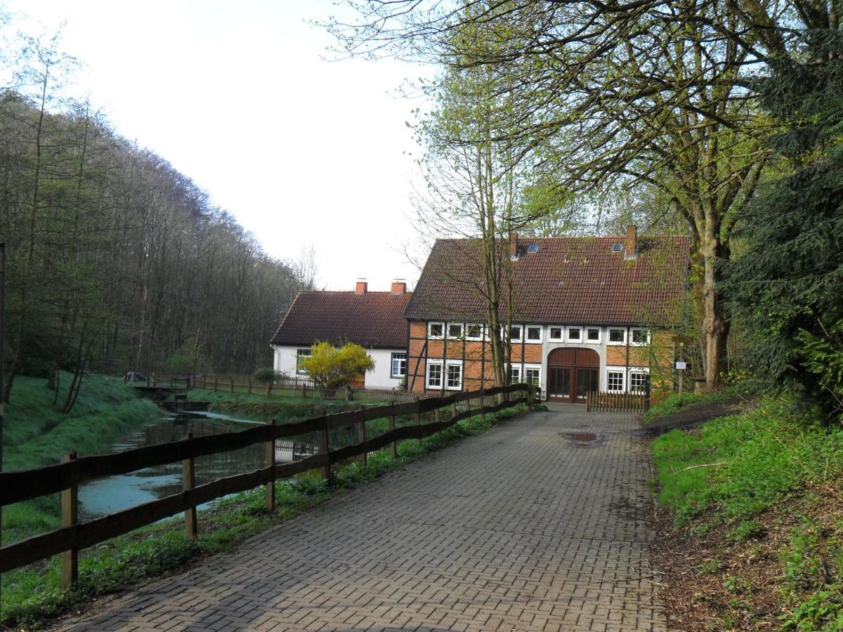 Hoellenmuehle Bed & Breakfast At The Mill Pond Hessisch Oldendorf Exterior foto