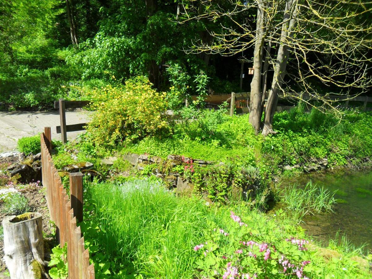 Hoellenmuehle Bed & Breakfast At The Mill Pond Hessisch Oldendorf Exterior foto