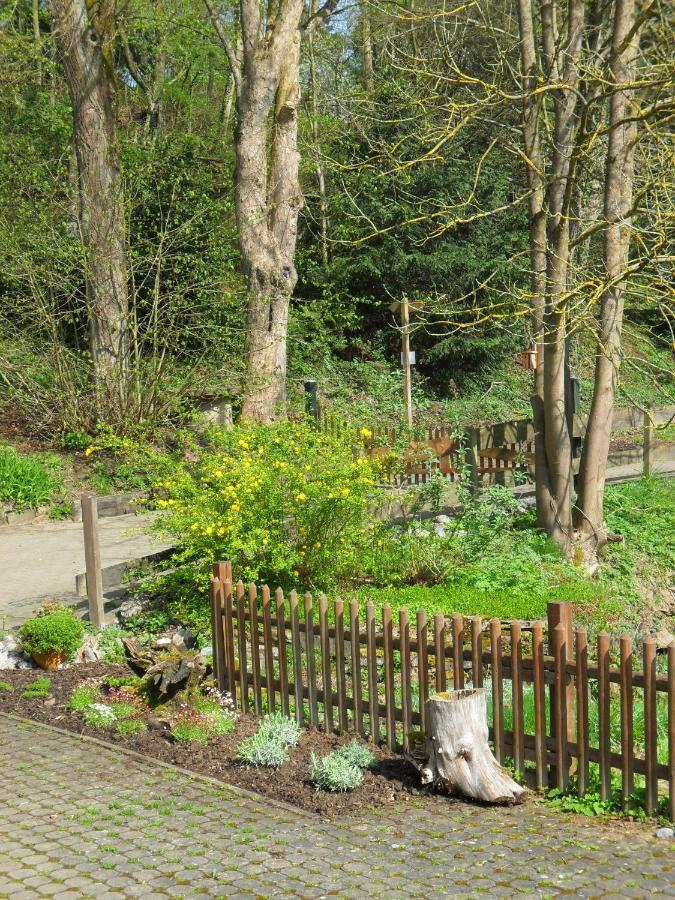 Hoellenmuehle Bed & Breakfast At The Mill Pond Hessisch Oldendorf Exterior foto
