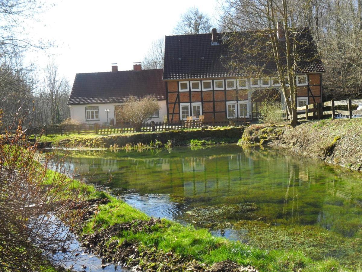 Hoellenmuehle Bed & Breakfast At The Mill Pond Hessisch Oldendorf Exterior foto